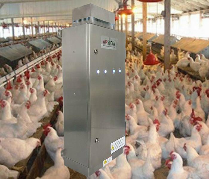 UV ozone generator for poultry chicken farm odor odour airborne