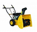 sell gasoline-powered Snow blower & snow thrower