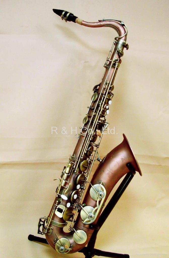 Pro Tenor Saxophone 4