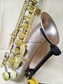 Titanium Tenor saxophone 3