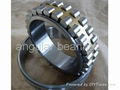 double cylinder roller bearings 1