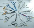 hair scissors 2