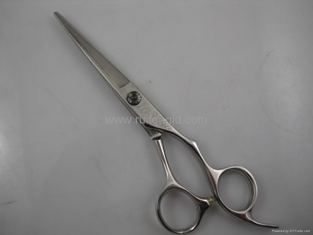 hair scissors 2