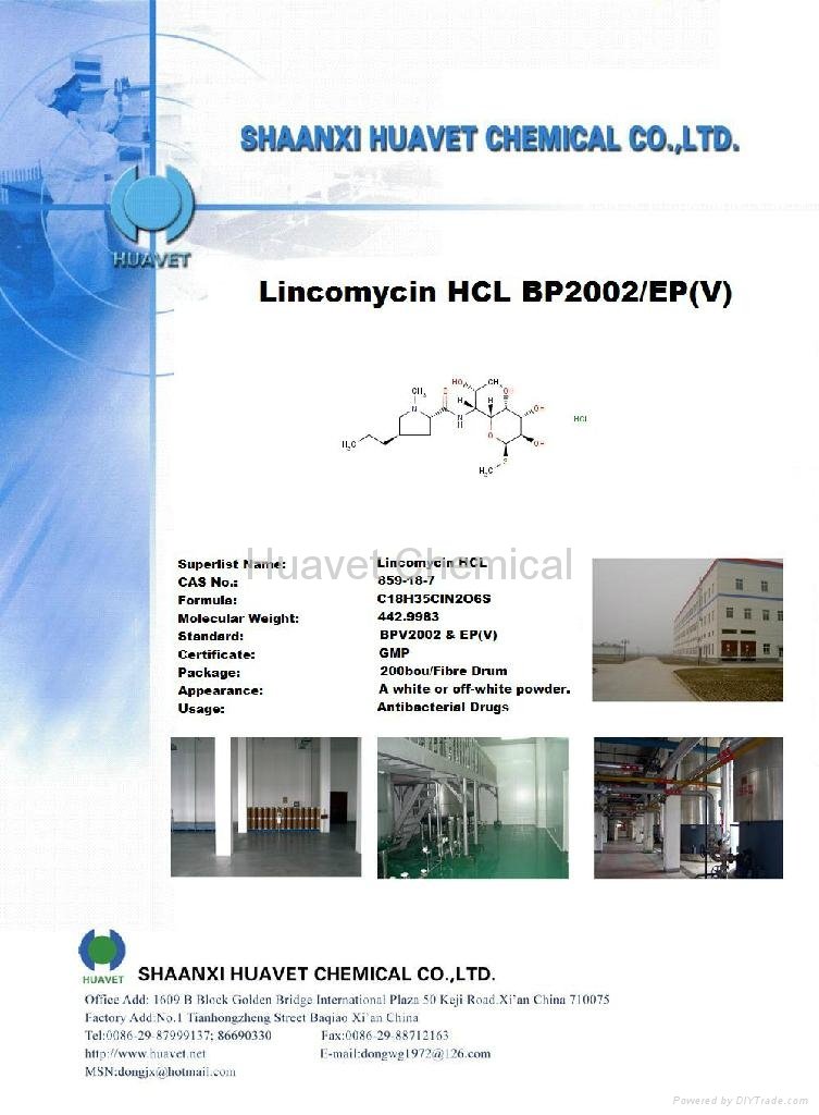 Lincomycin HCL( CAS No.:859-18-7) 1