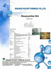 Doxycycline Hcl (CAS No.:24390-14-5)