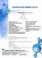 Piracetam (Russia Registered)