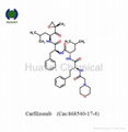 Carfilzomib (Cas:868540-17-4) 1