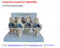 P-1318 Four-stage knee model 