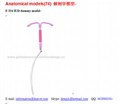 F-334 IUD dummy model