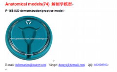 F-158 IUD demonstration/practice model