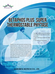 Thermostable phytase