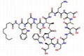 Daptomycin