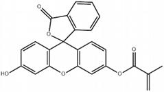 Fluorescein O-methacrylate 98% (Cas:480439-15-4)