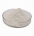 Guanidineacetic Acid
