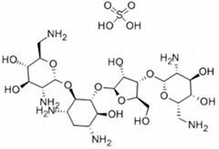 Neomycin Sulphate