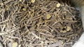 Licorice Root - Regular FAQ