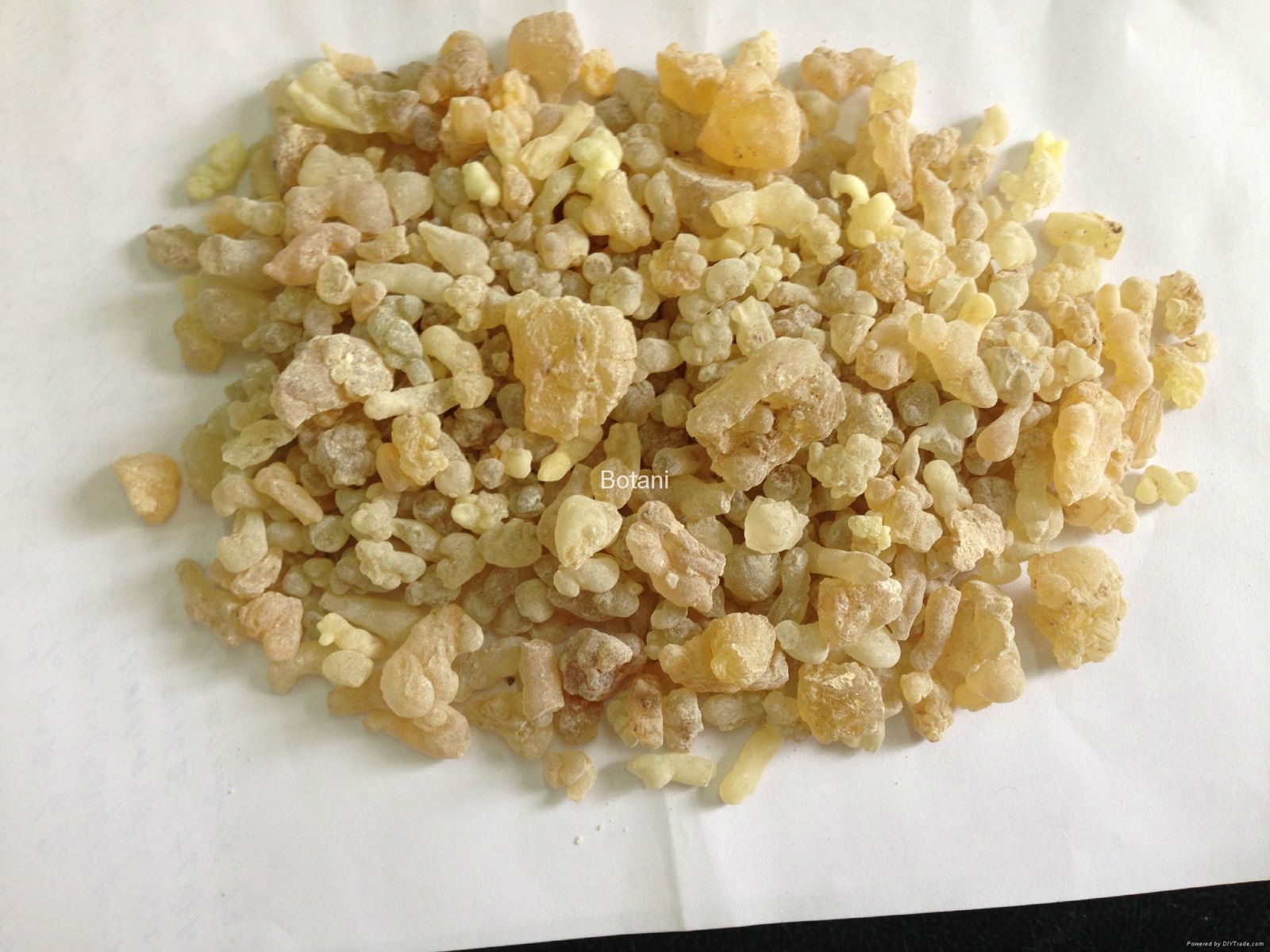 Olibanum / Frankincense - Ethiopia Grade 1