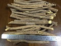 Licorice Root- Long stick