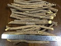 Licorice Root- Long stick 1