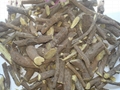 Licorice Root- Hand Picked 3