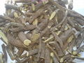 Licorice Root- Hand Picked