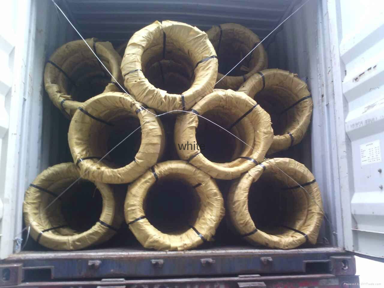 Galvanized Steel Core Wire 5