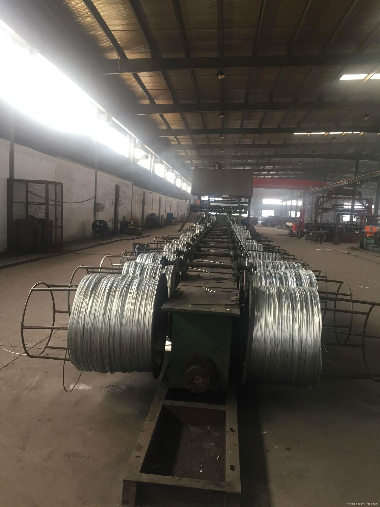 Galvanized Steel Core Wire 4