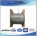 Galvanized Steel Wire Strand 3