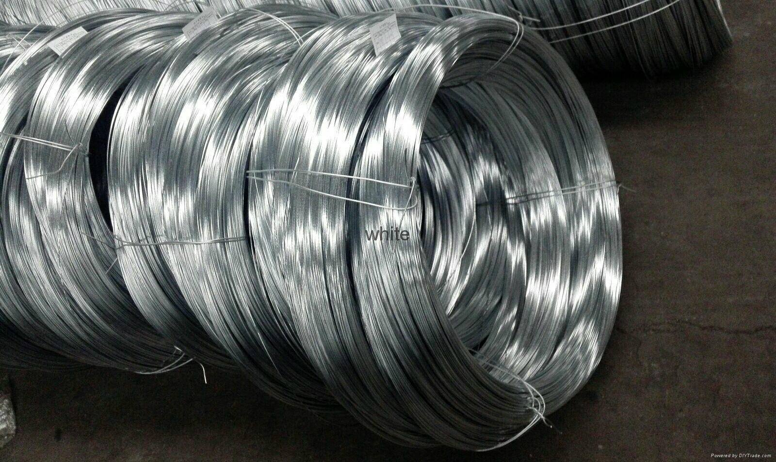 Проволока стальная 1 6 мм. Stainless Steel wire SWL. Проволока стальная оцинкованная. Стальная проволока 1 мм. Оцинковка провода.