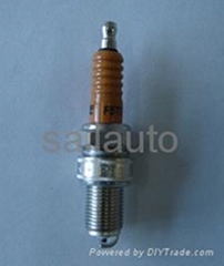 spark plug 