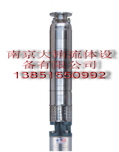 304/316SS  plad pumps不锈钢深井泵 2