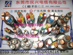 Dongguan MinXing Cables Co.,Ltd.