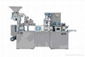 DPP250D AL/PL Blister Packing Machine