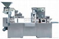 DPP250B Injection Blister Packing Machine