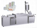 BXD-280 Multi-function Pillow Type Packing Machine 5