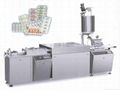 BZS-I Model Semi-self-motion Suppository Imbed Machine Group