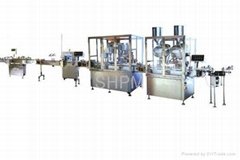 Automatic Bottling and Packing Compact Process Line