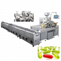 RJWJ-300C Softgel Encapsulation Machine