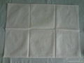 Disposable non-woven pillow case 2