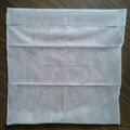 Disposable non-woven pillow case