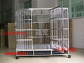 Stainless steel dog cage