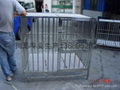 Stainless steel dog cage 83 * 60 * 80cm free shipping Guangdong Province 4