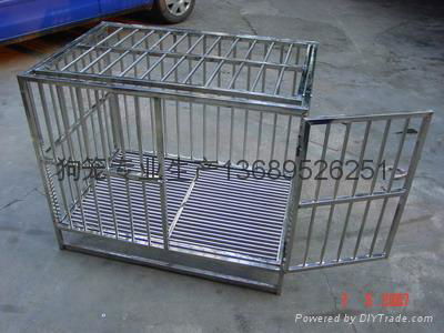 Stainless steel dog cage 3