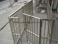 Stainless steel dog railing, pet railing 4