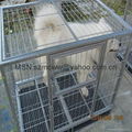 Cages wholesale 1