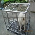 Cages wholesale 5