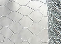 Hexagonal Wire Netting