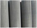 Welded Wire Mesh