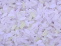 營養強化大米生產線 2