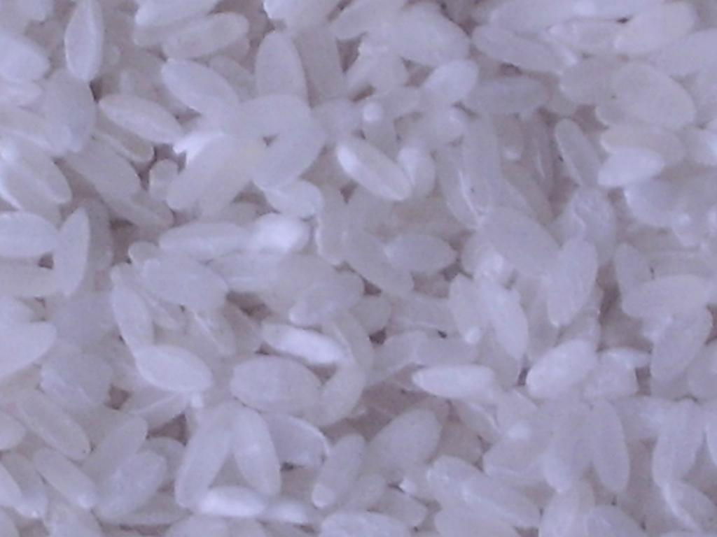 营养强化大米生产线 3